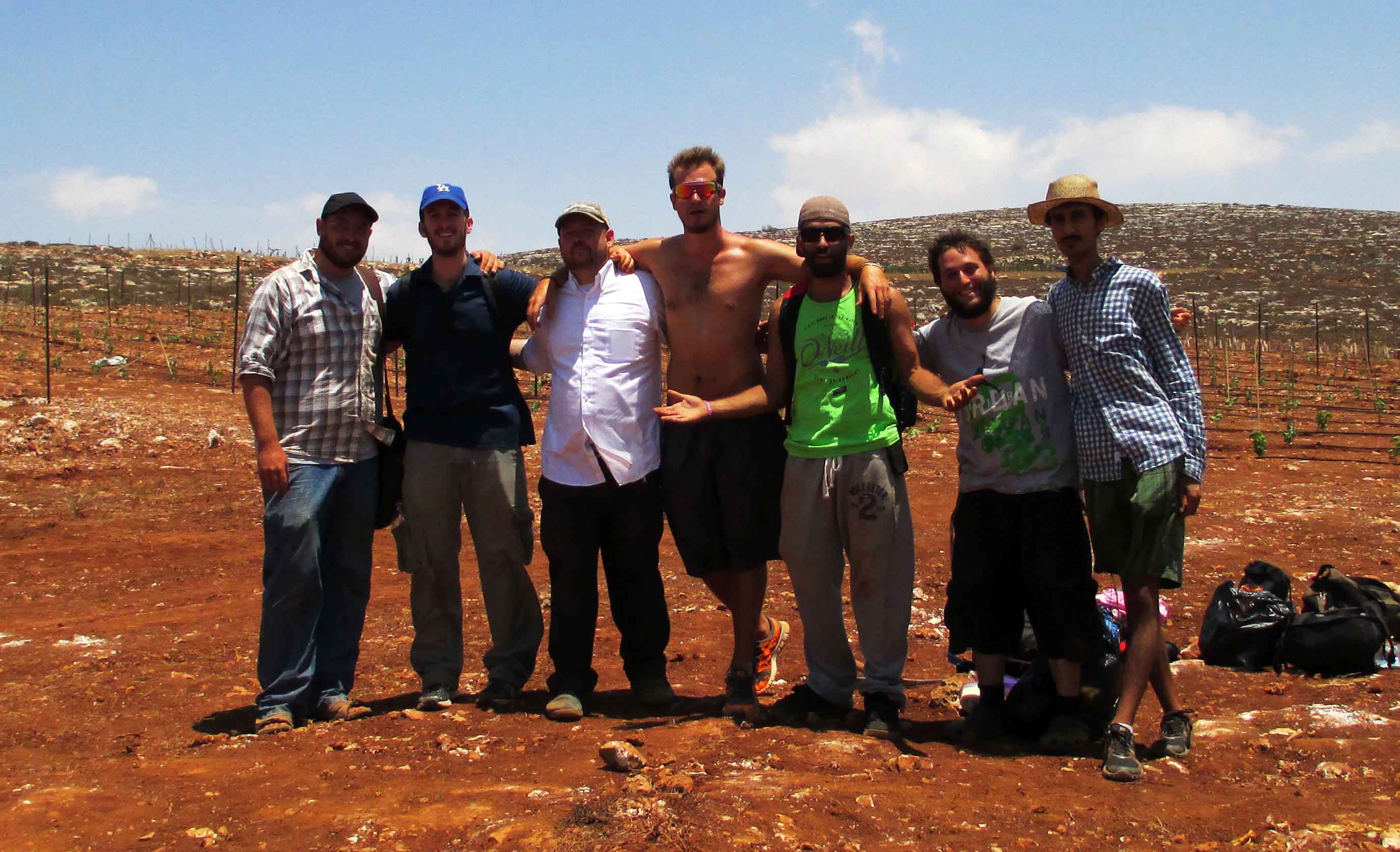 Guests cultivate the Land of Israel, Planting a new vineyard