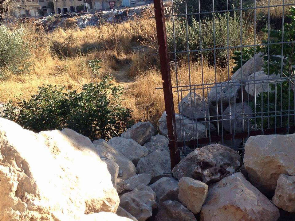  land cleared in Hevron!