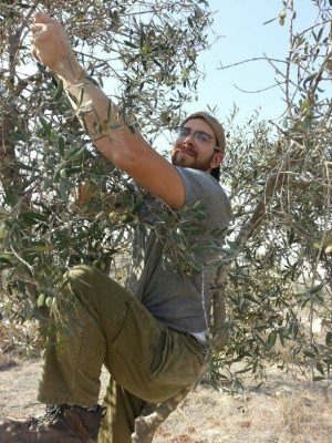 fun times climbing the tree to get to the olives!