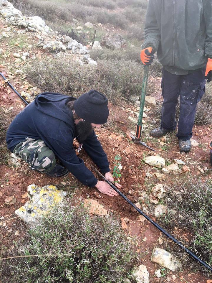 Birthright extenders plant a tree in Israel