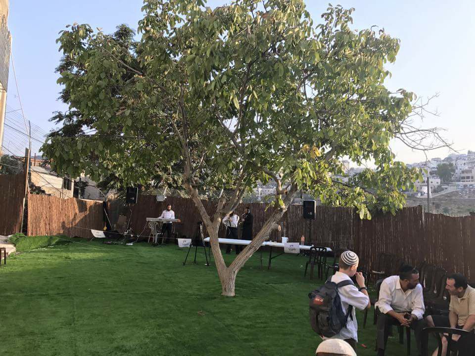 Finished the little park next to recently reclaimed Yemenite Synagogue! Plus a Double Torah Dedication