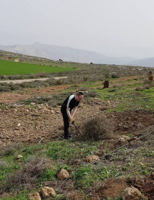 planted trees on the hills of Itamar