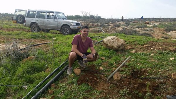 planted trees on the hills of Itamar